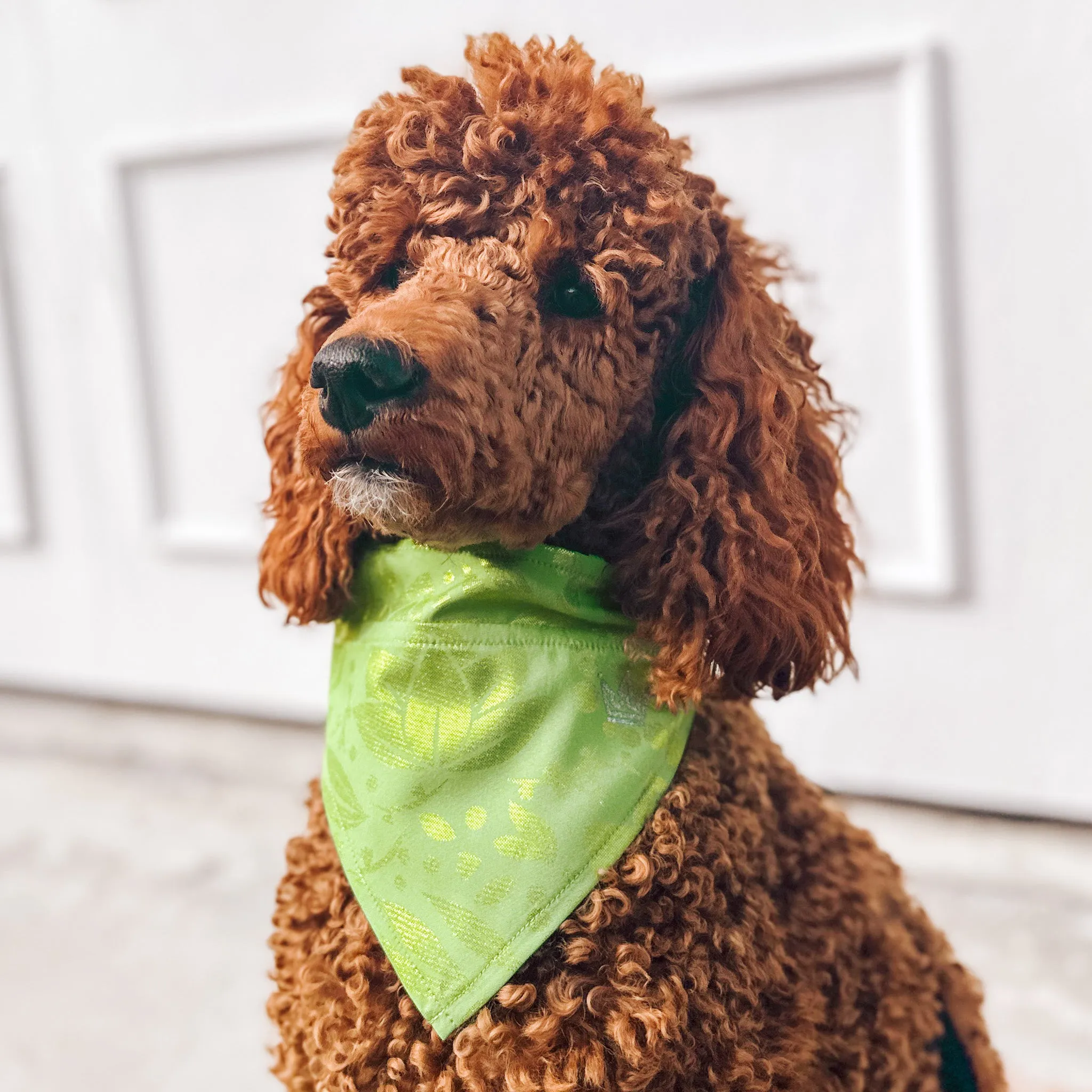 Lily Pad Pet Bandana