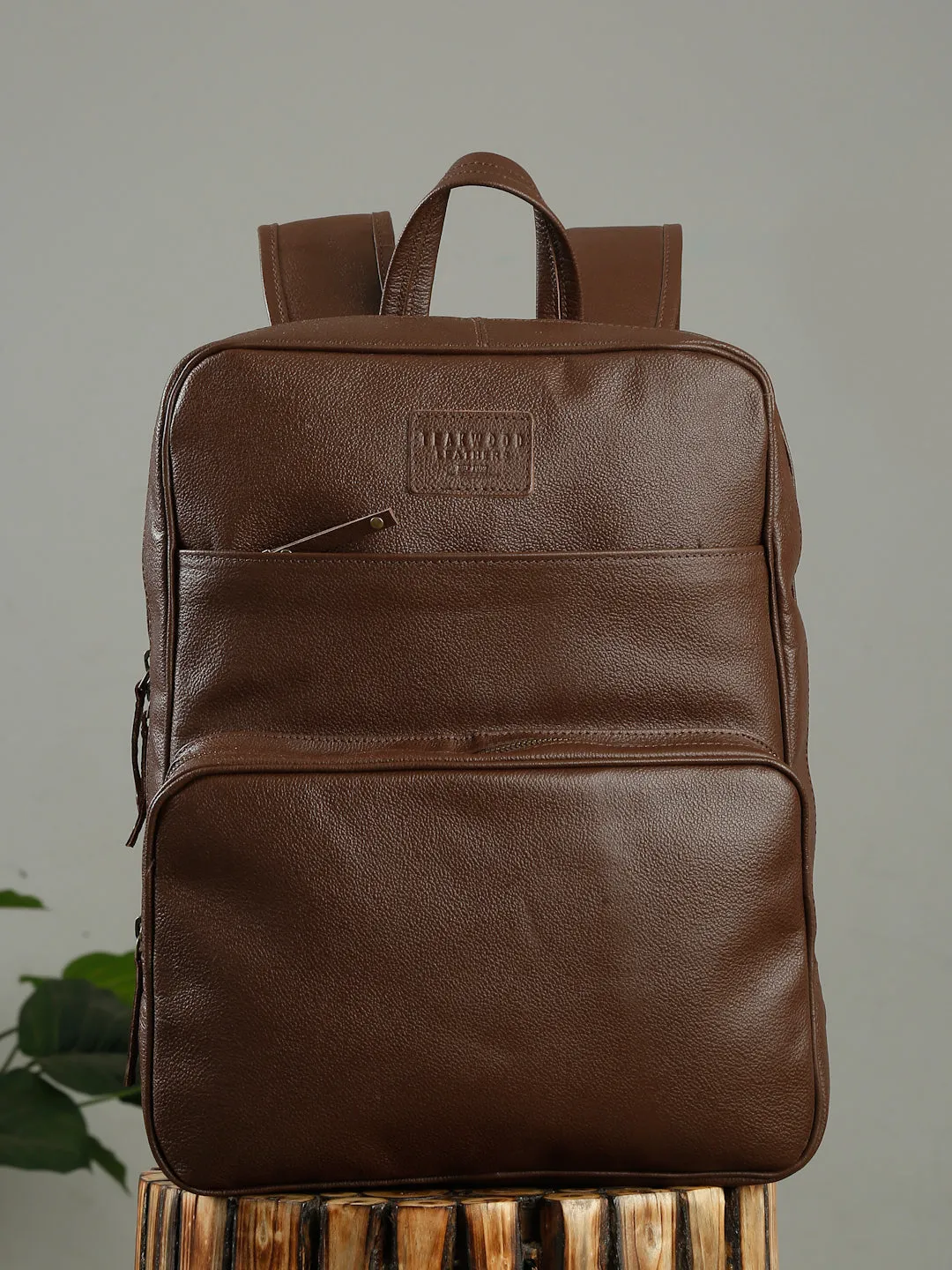 Teakwood Leather Mens's Brown solid Backpack